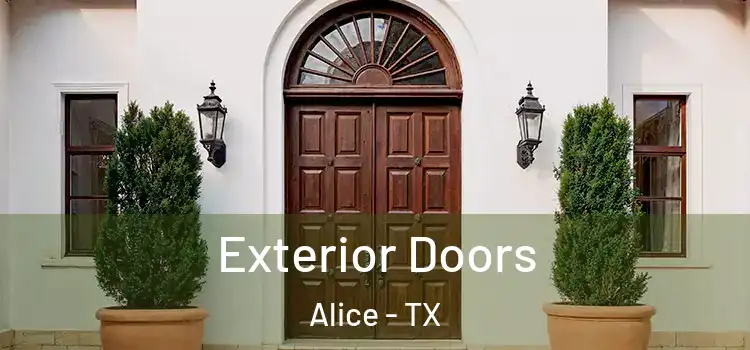 Exterior Doors Alice - TX