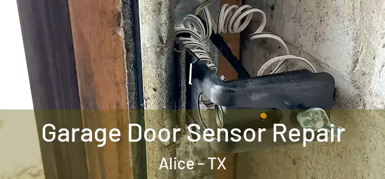 Garage Door Sensor Repair Alice - TX