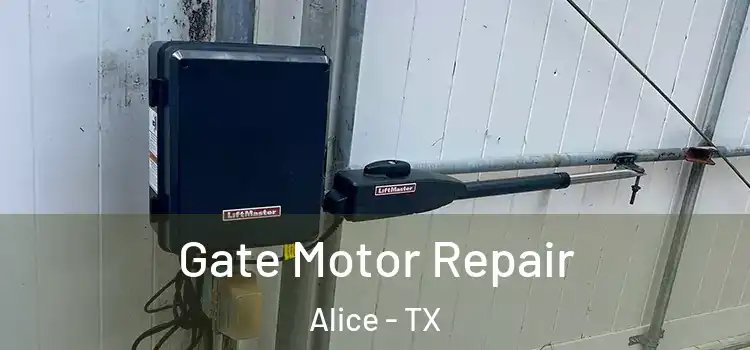 Gate Motor Repair Alice - TX