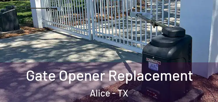 Gate Opener Replacement Alice - TX
