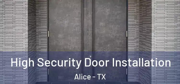 High Security Door Installation Alice - TX