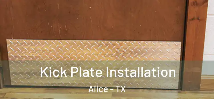 Kick Plate Installation Alice - TX