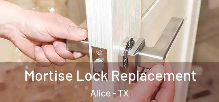 Mortise Lock Replacement Alice - TX